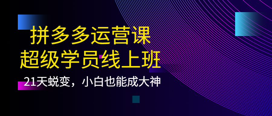 拼多多运营课：超级学员线上班，21天蜕变，小白也能成大神-韭菜网