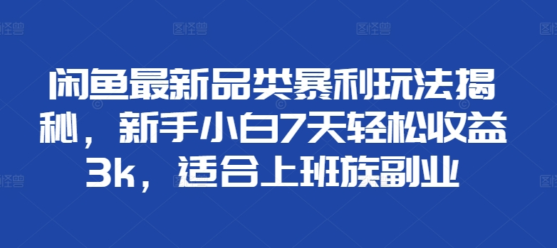 闲鱼最新品类暴利玩法揭秘，新手小白7天轻松赚3000+，适合上班族副业-韭菜网