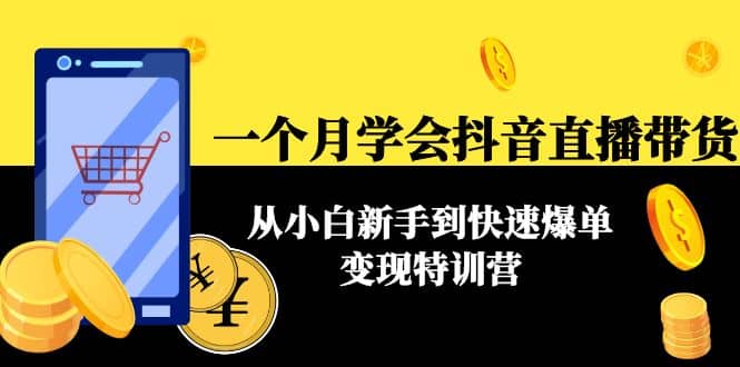 一个月学会抖音直播带货：从小白新手到快速爆单变现特训营(63节课)-韭菜网