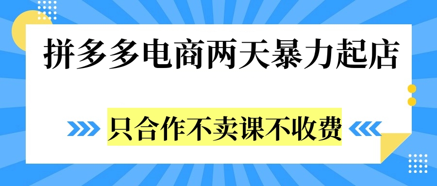 拼多多两天暴力起店，只合作不卖课不收费-韭菜网