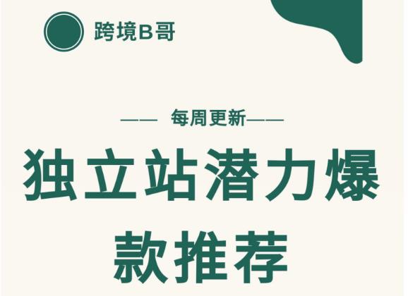 【跨境B哥】独立站潜力爆款选品推荐，测款出单率高达百分之80（每周更新）-韭菜网