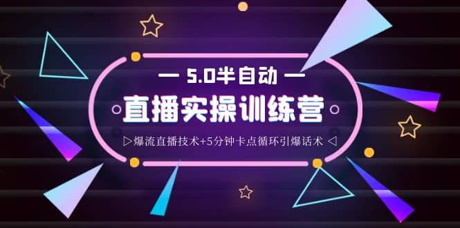 蚂蚁·5.0半自动直播2345打法，半自动爆流直播技术+5分钟卡点循环引爆话术-韭菜网