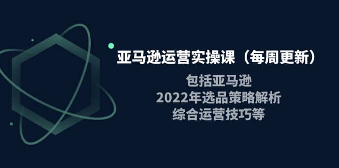 亚马逊运营实操课（每周更新）包括亚马逊2022选品策略解析，综合运营技巧等-韭菜网