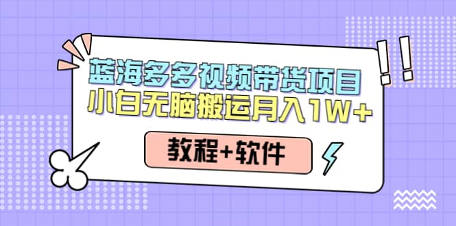 人人都能操作的蓝海多多视频带货项目 小白无脑搬运（教程+软件）-韭菜网