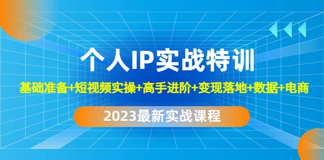 2023个人IP实战特训：基础准备+短视频实操+高手进阶+变现落地+数据+电商-韭菜网