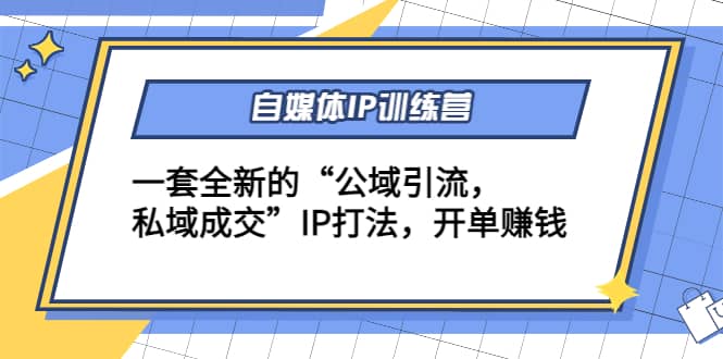 自媒体IP训练营(12+13期)一套全新的“公域引流，私域成交”IP打法-韭菜网