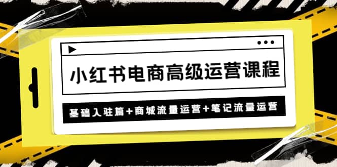 小红书电商高级运营课程：基础入驻篇+商城流量运营+笔记流量运营-韭菜网