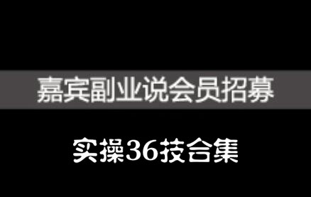 嘉宾副业说实操36技合集，价值1380元-韭菜网