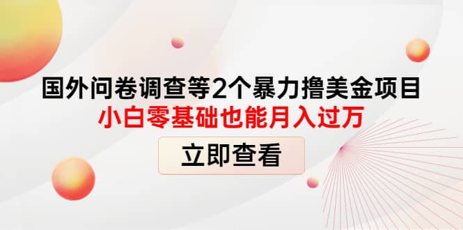 国外问卷调查等2个暴力撸美元项目，小白零基础也能月入过万-韭菜网