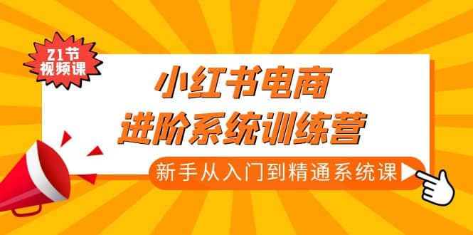 小红书电商进阶系统训练营：新手从入门到精通系统课（21节视频课）-韭菜网