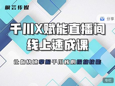 枫芸传媒-线上千川提升课，提升千川认知，提升千川投放效果-韭菜网