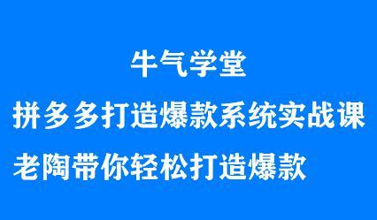 牛气学堂拼多多打造爆款系统实战课，老陶带你轻松打造爆款-韭菜网