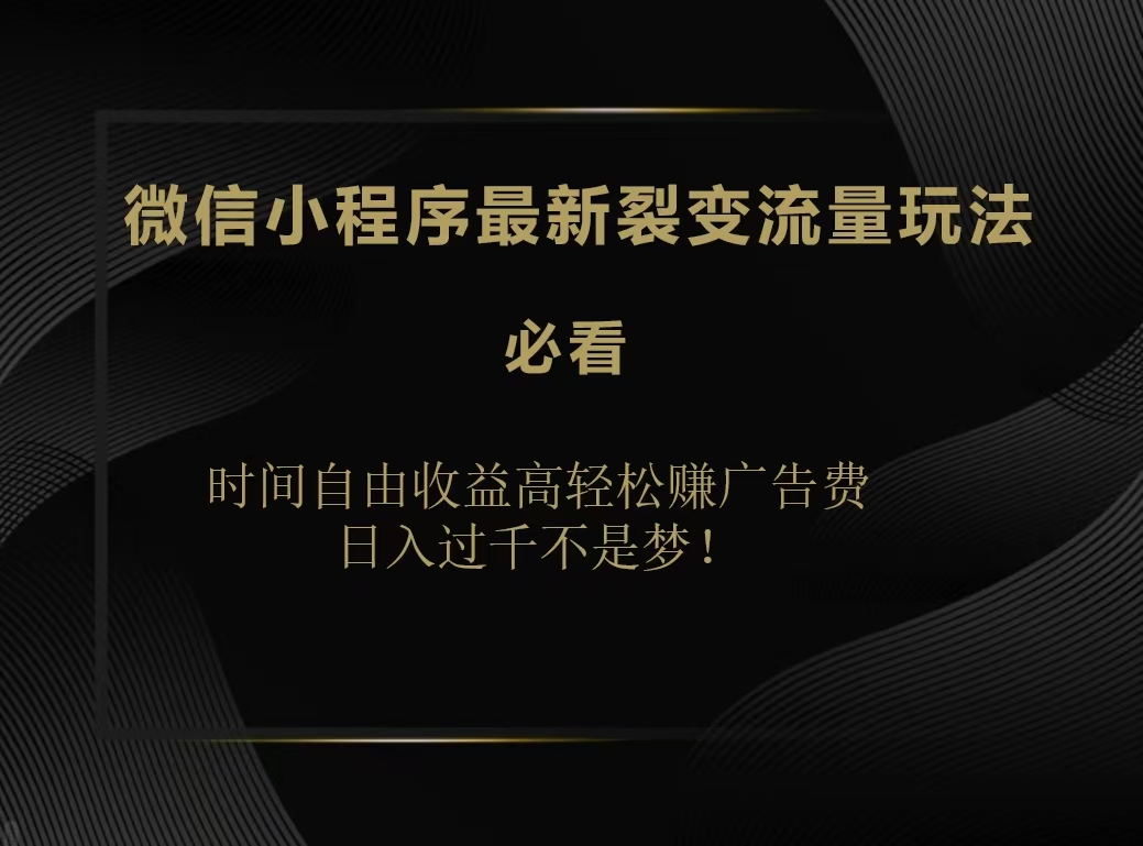 微信小程序最新裂变流量玩法，时间自由收益高轻松赚广告费，日入200-500+-韭菜网