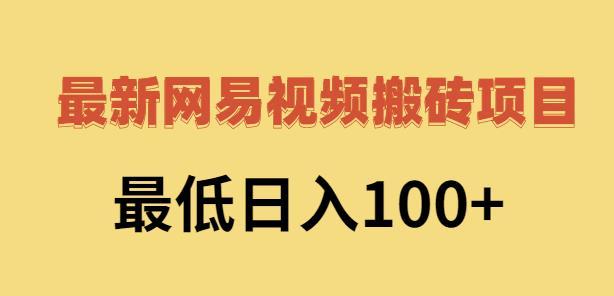 2022网易视频搬砖赚钱，日收益120（视频教程+文档）-韭菜网