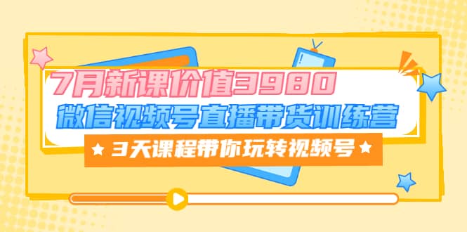 微信视频号直播带货训练营，3天课程带你玩转视频号：7月新课价值3980-韭菜网