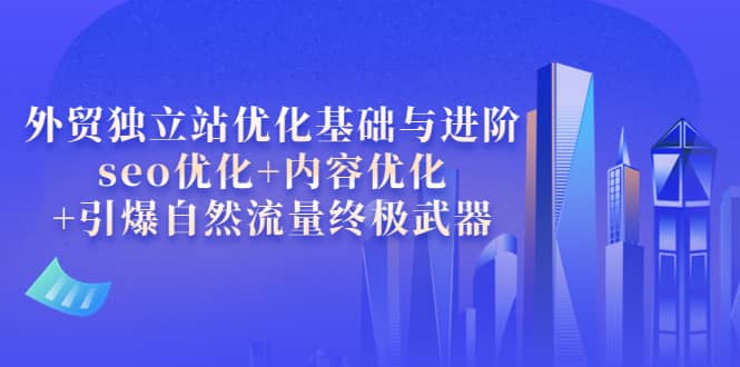 外贸独立站优化基础与进阶，seo优化+内容优化+引爆自然流量终极武器-韭菜网