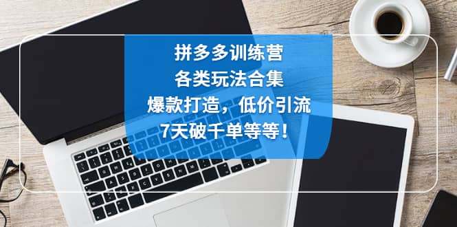 拼多多训练营：各玩法合集，爆款打造，低价引流，7天破千单等等-韭菜网