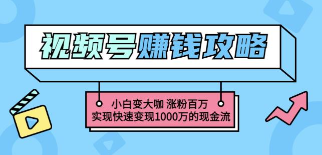 玩转微信视频号赚钱：小白变大咖涨粉百万实现快速变现1000万的现金流-韭菜网