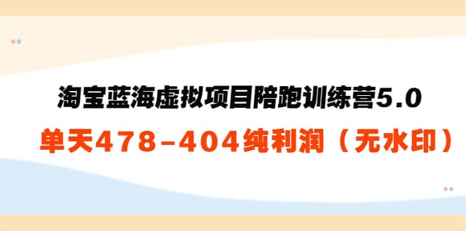 淘宝蓝海虚拟项目陪跑训练营5.0：单天478纯利润（无水印）-韭菜网