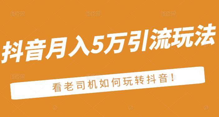 老古董·抖音月入5万引流玩法，看看老司机如何玩转抖音(附赠：抖音另类引流思路)-韭菜网