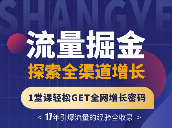 张琦流量掘金探索全渠道增长，1堂课轻松GET全网增长密码-韭菜网