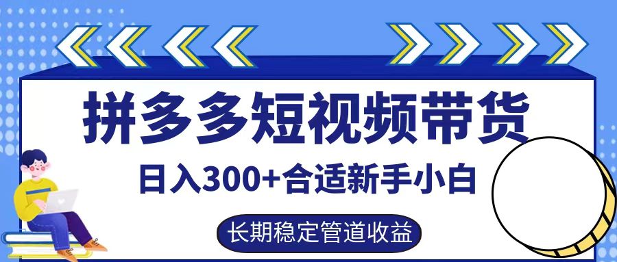 拼多多短视频带货日入300+实操落地流程-韭菜网