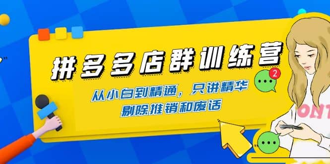 拼多多店群训练营：从小白到精通，只讲精华，剔除推销和废话-韭菜网