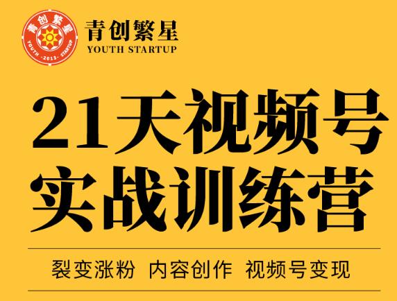 张萌21天视频号实战训练营，裂变涨粉、内容创作、视频号变现 价值298元-韭菜网