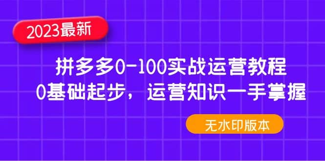 2023拼多多0-100实战运营教程，0基础起步，运营知识一手掌握（无水印）-韭菜网