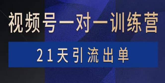 视频号训练营：带货，涨粉，直播，游戏，四大变现新方向，21天引流出单-韭菜网