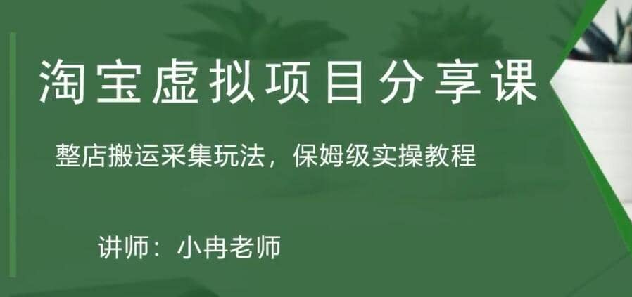 淘宝虚拟整店搬运采集玩法分享课：整店搬运采集玩法，保姆级实操教程-韭菜网