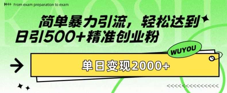 简单暴力引流轻松达到日引500+精准创业粉，单日变现2k【揭秘】-韭菜网