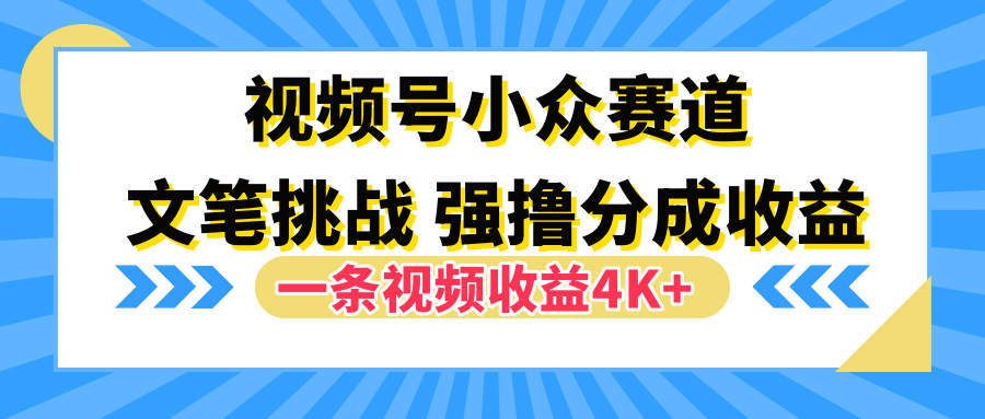 视频号小众赛道，文笔挑战，一条视频收益4K+-韭菜网