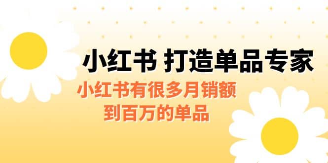 某公众号付费文章《小红书 打造单品专家》小红书有很多月销额到百万的单品-韭菜网