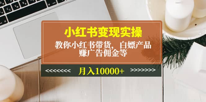 小红书变现实操：教你小红书带货，白嫖产品，赚广告佣金等-韭菜网