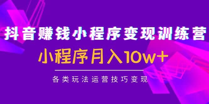 抖音小程序变现训练营：小程序各类玩法运营技巧变现-韭菜网