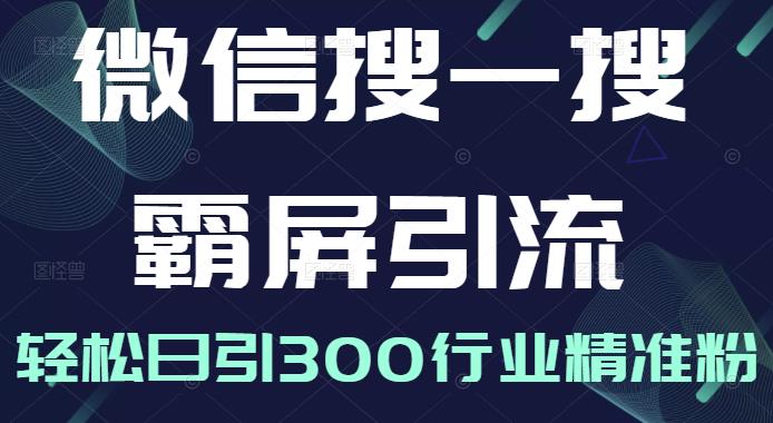 微信搜一搜霸屏引流课，打造被动精准引流系统，轻松日引300行业精准粉【无水印】-韭菜网