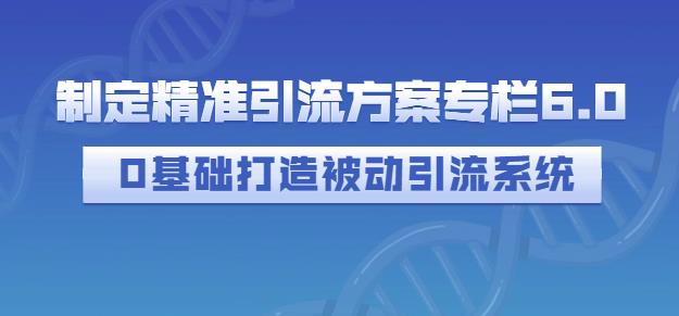 制定精准引流方案专栏6.0，0基础打造被动引流系统-韭菜网