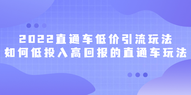 2022直通车低价引流玩法，教大家如何低投入高回报的直通车玩法-韭菜网