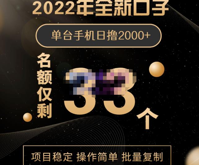 2022年全新口子，手机批量搬砖玩法，一部手机日撸2000+-韭菜网