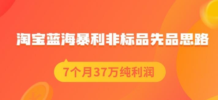 盗坤淘宝蓝海暴利非标品先品思路，7个月37万纯利润，压箱干货分享！【付费文章】-韭菜网