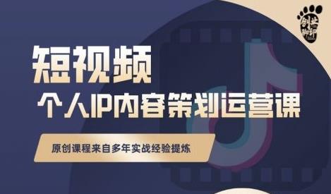 抖音短视频个人ip内容策划实操课，真正做到普通人也能实行落地-韭菜网