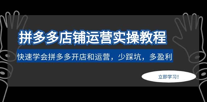 拼多多店铺运营实操教程：快速学会拼多多开店和运营，少踩坑，多盈利-韭菜网