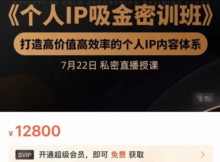 个人IP吸金密训班，打造高价值高效率的个人IP内容体系（价值12800元）-韭菜网