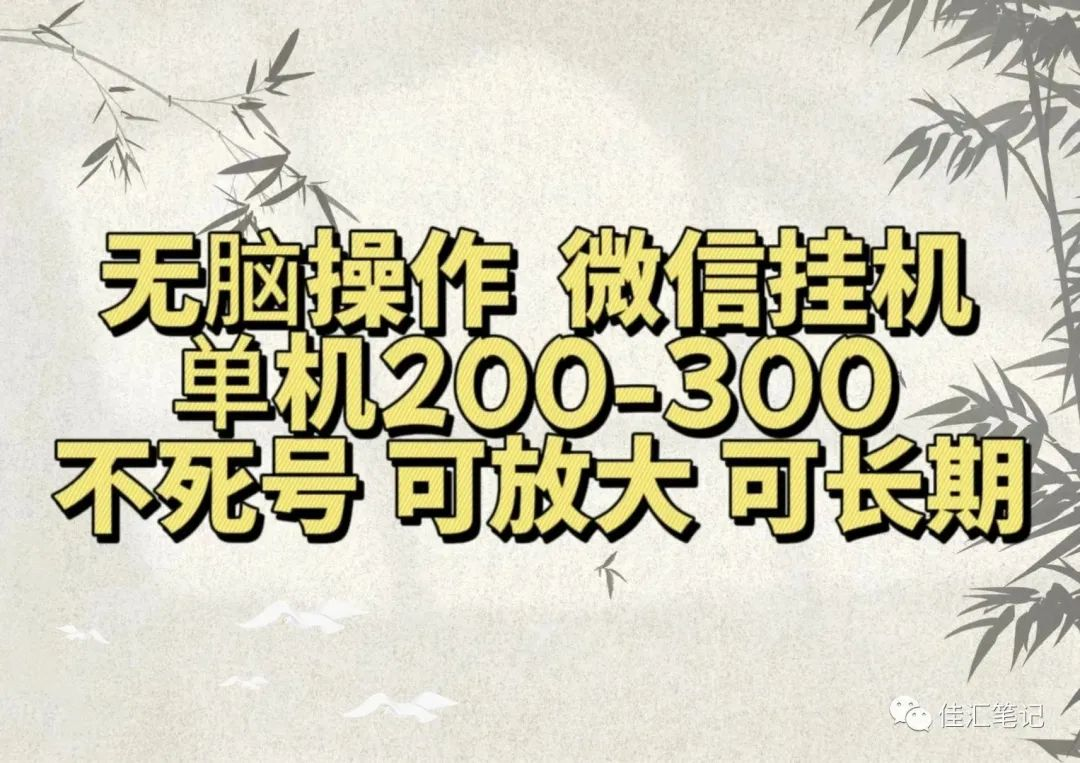 无脑操作微信视频号挂机单机200-300一天，不死号，可放大，工作室实测-韭菜网