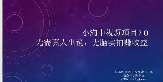 小淘项目组网赚永久会员，绝对是具有实操价值的，适合有项目做需要流程【持续更新】-韭菜网