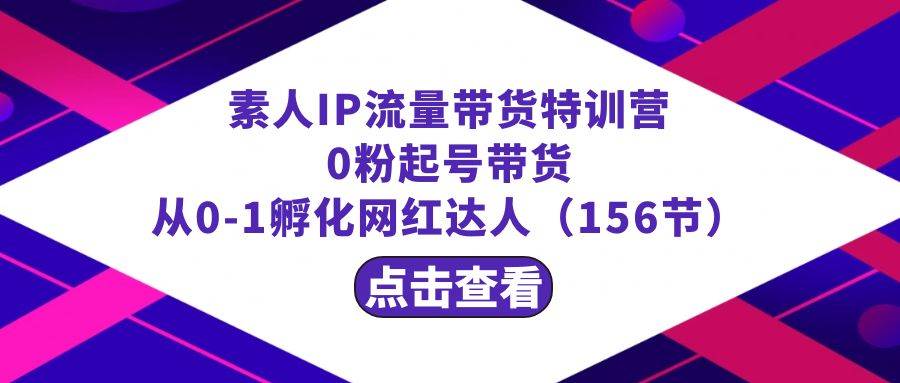 繁星·计划素人IP流量带货特训营：0粉起号带货 从0-1孵化网红达人（156节）-韭菜网