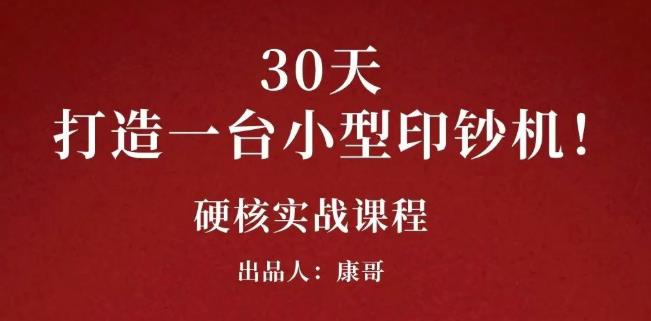 康哥30天打造一台小型印钞机：躺赚30万的项目完整复盘（视频教程）-韭菜网