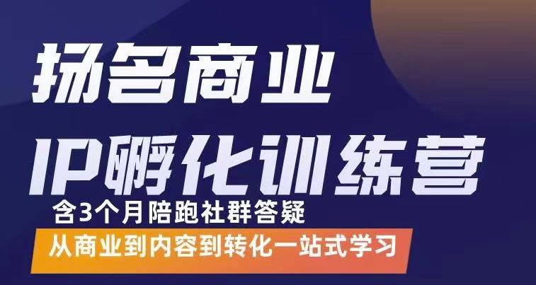 杨名商业IP孵化训练营，从商业到内容到转化一站式学 价值5980元-韭菜网