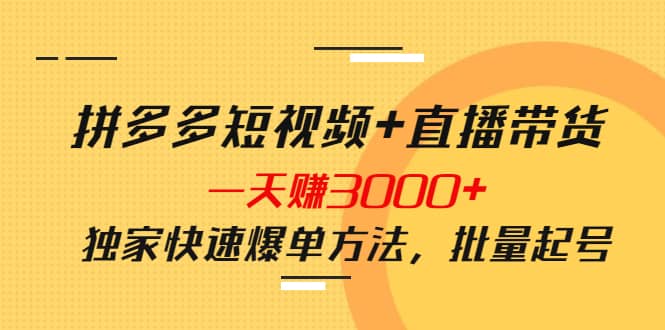 拼多多短视频+直播带货，一天赚3000+独家快速爆单方法，批量起号-韭菜网